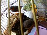    
: Picture-1111.jpg
: 4
:	154.0 
ID:	5271663