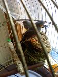     
: Picture-1115.jpg
: 5
:	90.4 
ID:	5271666