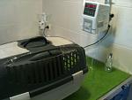     
: IMG_1124.jpg
: 10
:	87.0 
ID:	5271877