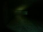     
: IMG_1144.jpg
: 42
:	69.1 
ID:	5274679