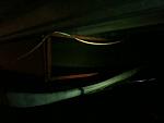     
: IMG_1142.jpg
: 37
:	65.3 
ID:	5274682
