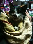     
: IMG_1160.jpg
: 28
:	106.1 
ID:	5274720