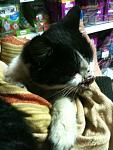     
: IMG_1163.jpg
: 37
:	101.6 
ID:	5274722