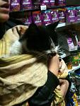     
: IMG_1158.jpg
: 39
:	108.6 
ID:	5274723