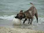     
: IMG_3901.jpg
: 4
:	147.1 
ID:	5274884