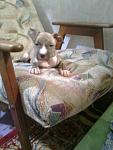     
: Фото0328.jpg
: 10
:	89.3 
ID:	5274885