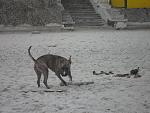     
: SAM_0943.jpg
: 6
:	137.7 
ID:	5274930
