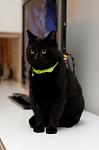     
: DSC_6740.jpg
: 4
:	203.6 
ID:	5276779
