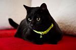     
: DSC_6797.jpg
: 3
:	52.1 
ID:	5276780