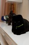     
: DSC_6815.jpg
: 4
:	189.8 
ID:	5276791