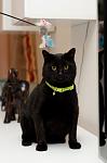     
: DSC_6811.jpg
: 5
:	217.4 
ID:	5276792