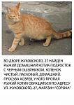     
: Рыжик_1.jpg
: 18
:	102.0 
ID:	5279650