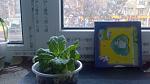     
: IMG_00000593.jpg
: 16
:	122.0 
ID:	5280436