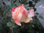     
: IMG_1928.jpg
: 5
:	38.0 
ID:	5282110
