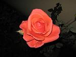     
: IMG_1909.jpg
: 3
:	35.1 
ID:	5282133