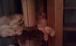     
: IMAG0453.jpg
: 6
:	56.9 
ID:	5282510