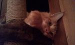     
: IMAG0454.jpg
: 7
:	56.6 
ID:	5282511