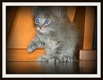     
: image.jpg
: 8
:	182.8 
ID:	5286033