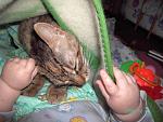     
: PICT2248.JPG
: 28
:	110.3 
ID:	528691