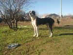     
: Фото-0467.jpg
: 17
:	231.5 
ID:	5287500