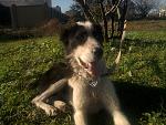     
: Фото-0471.jpg
: 17
:	204.3 
ID:	5287503