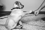     
: ic9lehsCTFQ.jpg
: 5
:	29.4 
ID:	5288017