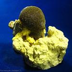     
: IMG_5874 2.JPG
: 12
:	29.3 
ID:	5296031