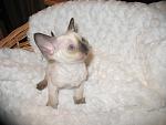     
: IMG_8610.jpg
: 11
:	88.1 
ID:	5299103