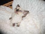     
: IMG_8616.jpg
: 9
:	86.3 
ID:	5299106