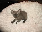     
: IMG_8580.jpg
: 10
:	90.7 
ID:	5299107