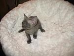     
: IMG_8576.jpg
: 7
:	96.1 
ID:	5299111