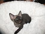     
: IMG_8597.jpg
: 9
:	89.8 
ID:	5299113