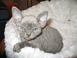     
: IMG_8561.jpg
: 10
:	98.7 
ID:	5299119