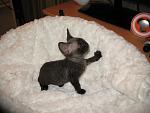     
: IMG_8606.jpg
: 7
:	94.6 
ID:	5299123