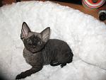     
: IMG_8600.jpg
: 8
:	98.8 
ID:	5299128