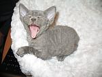     
: IMG_8564.jpg
: 6
:	112.5 
ID:	5299146