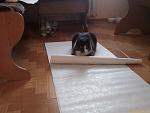     
: IMAG0789.jpg
: 6
:	92.5 
ID:	5300112