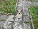     
: DSCN0024.jpg
: 51
:	297.6 
ID:	5306023