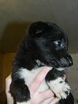     
: DSCN2525.jpg
: 4
:	61.0 
ID:	5307417