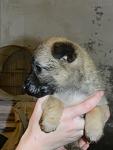     
: DSCN2521.jpg
: 6
:	72.8 
ID:	5307418