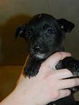     
: DSCN2524.jpg
: 5
:	63.2 
ID:	5307419
