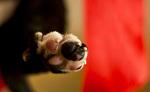     
: IMG_2283.jpg
: 4
:	37.5 
ID:	5308168