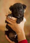     
: IMG_2339.jpg
: 2
:	43.8 
ID:	5308176