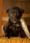     
: IMG_2312.jpg
: 1
:	51.9 
ID:	5308178