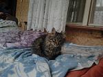     
: 2012-12-04 14.38.54.jpg
: 12
:	123.1 
ID:	5309831