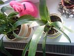     
: DSC01644.jpg
: 26
:	162.9 
ID:	5314379
