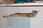     
: DSC_5499.jpg
: 4
:	84.7 
ID:	5314676