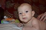     
: DSC_0887.jpg
: 6
:	67.2 
ID:	5320813