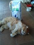     
: fa911166bde4.jpg
: 14
:	58.6 
ID:	5320983