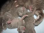     
: IMG_3756.jpg
: 5
:	148.8 
ID:	5326237